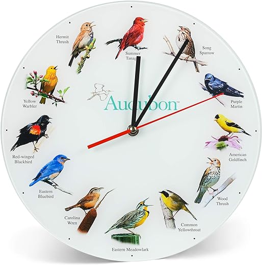 Mark Feldstein & Associates Audubon Songbird Species Non-Singing Round Glass Wall Clock, 12 Inch