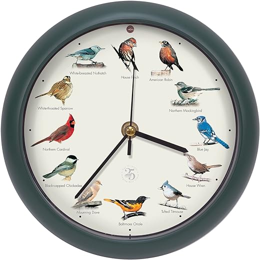 Mark Feldstein & Associates The Original Singing Bird Clock 25th Anniversary Edition (8 Inch, Green)