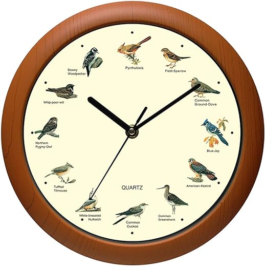 Singing Bird Wall Clock 12 Inch of The Bird Names and Songs