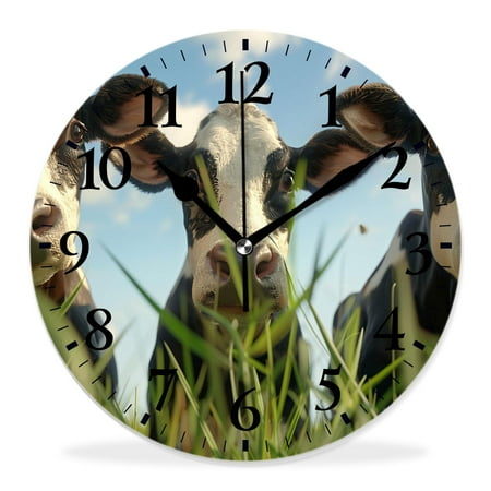 16 Inch Wall Clock Battery Operated Silent Clock Decorative for Office, Kitchen, Outdoor, Living Room，Black and White Cows Daisy Creative