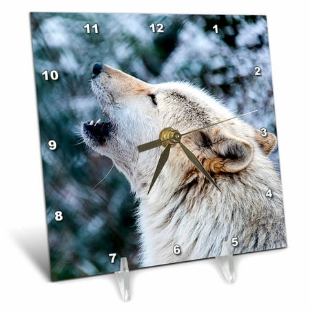 3dRose ROCKY MOUNTAIN GRAY WOLF HOWLING, Desk Clock, 6 by 6-inch