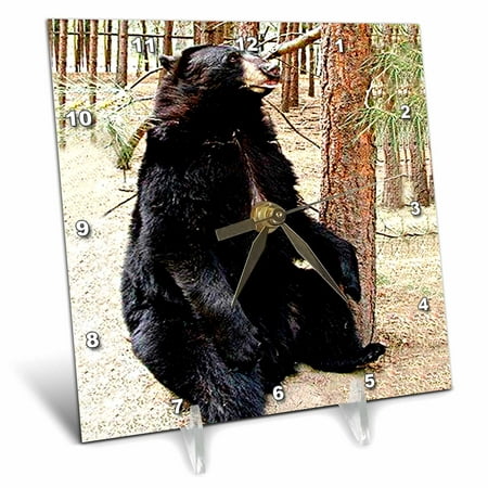 Black Bear 6x6 Desk Clock dc-787-1