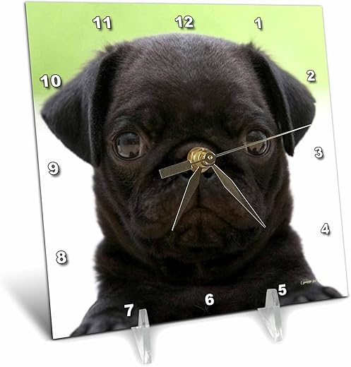 3dRose dc_21198_1 Pug Puppy Desk Clock, 6 by 6-Inch