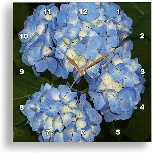 3dRose dpp_21629_1 Blue and Yellow Hydrangea Clusters Wall Clock, 10 by 10-Inch