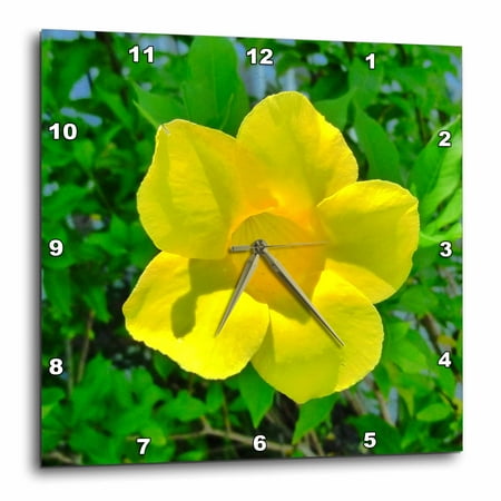 3dRose Sunbeam Pretty - Wall Clock, 10 by 10-inch