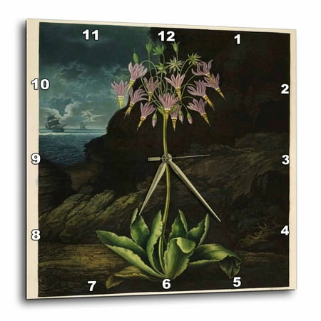 3dRose Vintage Of 1807 Painting From Unusual Botany Book With Ship In Background - Wall Clock, 13 by 13-inch