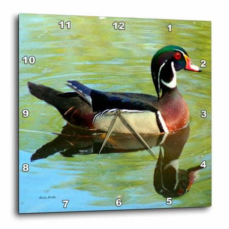 3dRose Wood Duck Reflections - Photography - Wall Clock, 15 by 15-inch