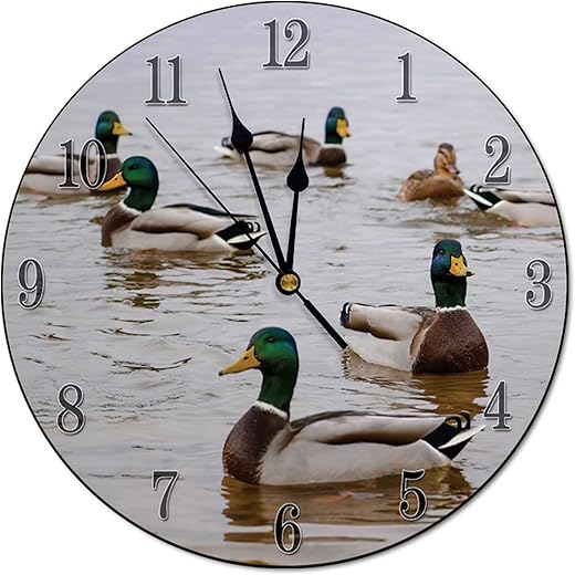 Bantam Ducks Clock 10 Inch Silent Wall Clock, Style-4, Unisex