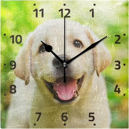 BESTKITTY Labrador Retriever Puppy Wall Clock Square Silent Non-Ticking [Battery Operated] Easy to Read Clocks for Home Kitchen Office Classroom Living Room Bedroom