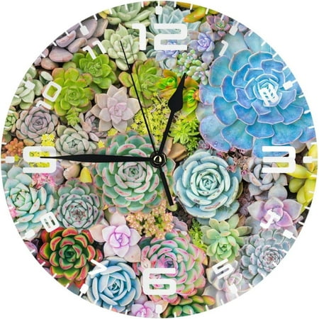 Colorful Succulent Kaleidoscope Plants 10 Inch Design Round Classic Wall Clock Battery Operated For Home Decorative Living Room Bathroom Office