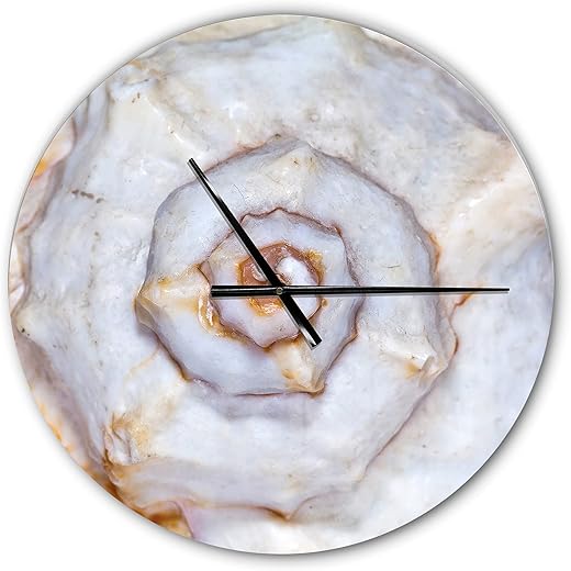 DesignQ 'Great Skeleton of Sea Shell ' Modern Wall Clock for Home Bedroom Bathroom Office Living Room Decoration, 23x23