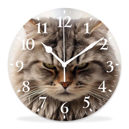 generic Silent Non Ticking 12 inch Round Wall Clocks,Curious Cat Face Looking Up Beautiful,Decorative Clocks for Living Room Kitchen Bedroom