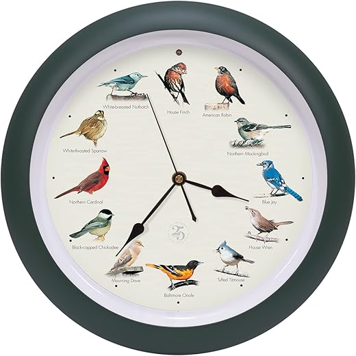 Mark Feldstein & Associates The Original Singing Bird Clock 25th Anniversary Edition, As Seen On TV (13 Inch, Matte Green)