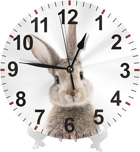 Wall Clock Cute Gray Rabbit 10 Inch Battery Operated Silent Non Ticking Wall Clock Number Quartz Round Wall Clock for Home Office Classroom Bedroom Decor