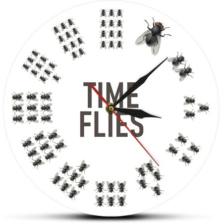 Wall Clock Decorative 12 Inch Flies Time Flies Wall Clock No Numbers Infinite Moments Timeless Modern Pun Joke Entertaining Wall Watch