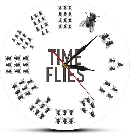 Wall Clock Decorative 12 inch Flies Time Flies Wall Clock No Numbers Infinite Moments Timeless Modern Pun Joke Entertaining Wall Watch