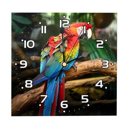 Wall Clocks Battery Operated Modern Clocks Square Silent Clock 7.87 in Forest Colored Macaw Parrot