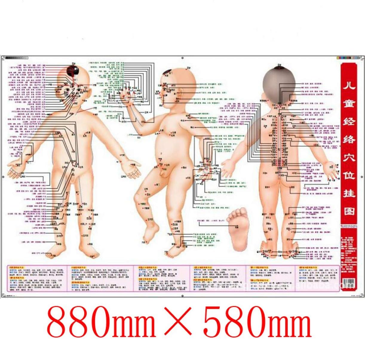 WellieSTR 88×58cm/35x23inch Children's Massage, Acupuncture Points, with Book acupoint Wall Charts, Standards, Children's Meridian Points wallcharts