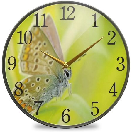 Wellsay Butterflies-95358 Pattern Wall Clock Silent Non Ticking 12 Inch Round Easy to Read for Home Office School Clock