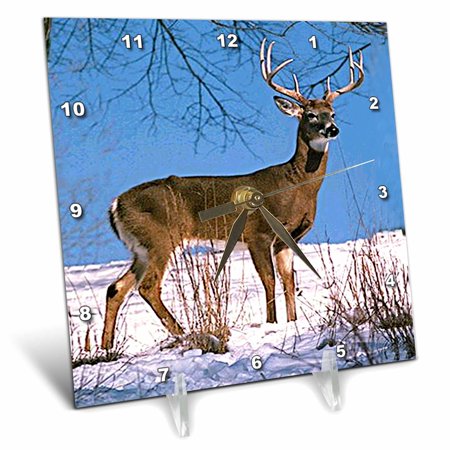 White Tailed Deer 6x6 Desk Clock dc-721-1