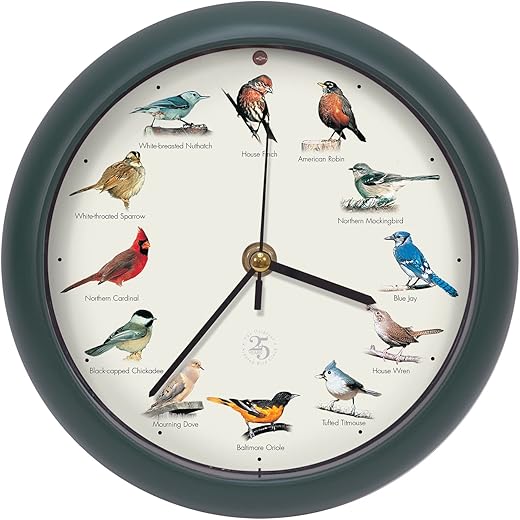 Mark Feldstein & Associates The Original Singing Bird Clock 25th Anniversary Edition (8 Inch, Green)